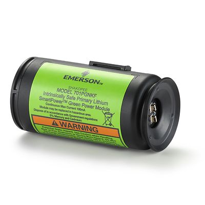 Emerson-701P Green SmartPower Module